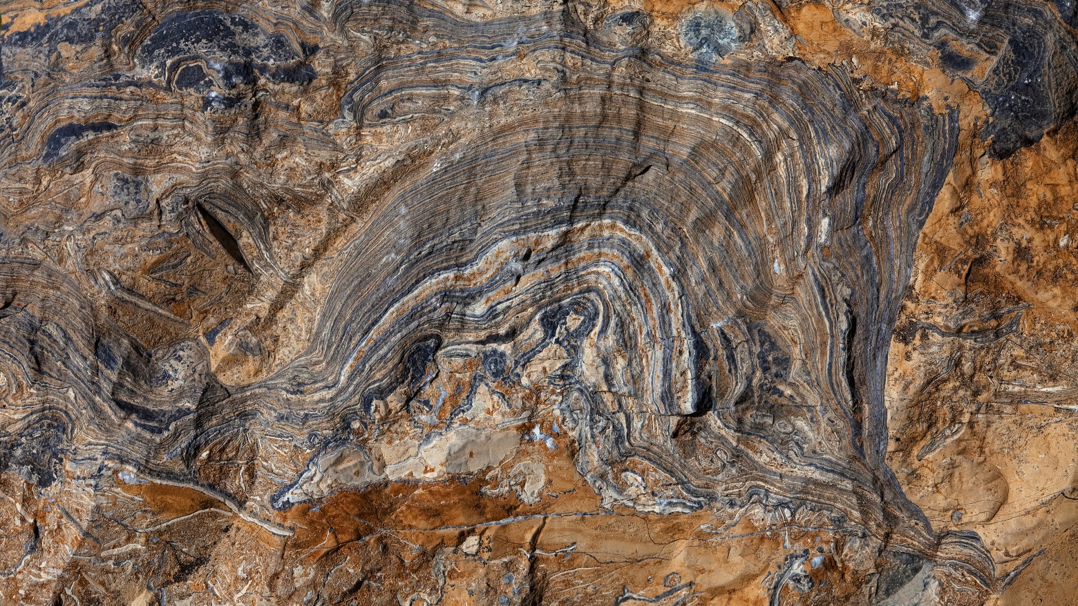 Lodestar Minerals Limited