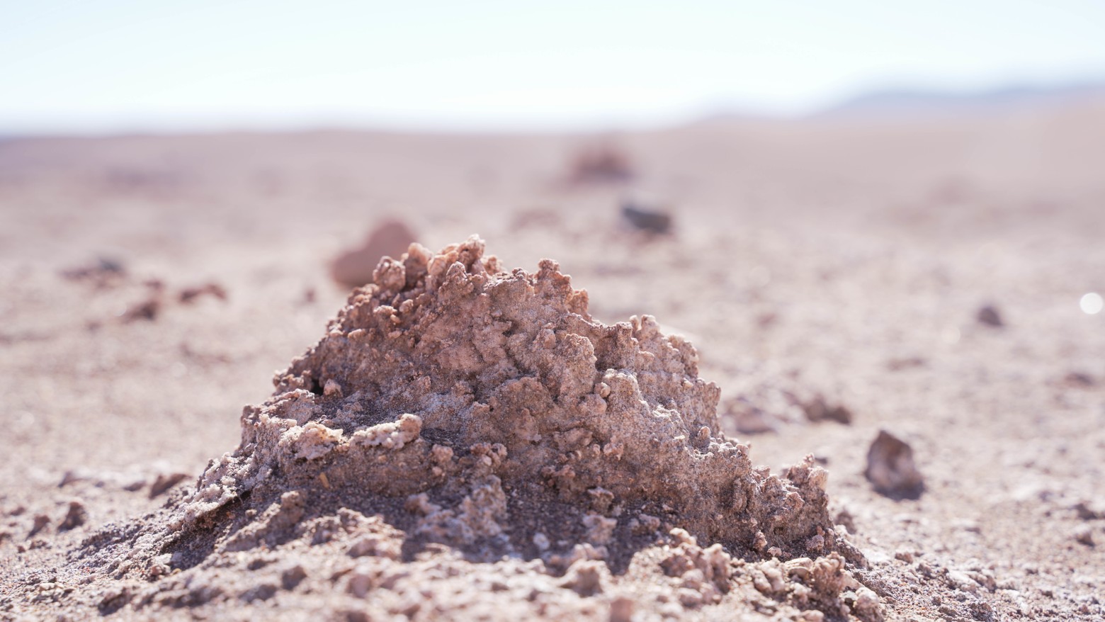 Wildcat Resources Limited